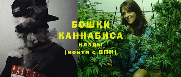 твердый Надым