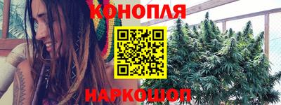 шишки Коммунар