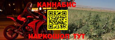 шишки Коммунар