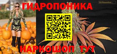 шишки Коммунар