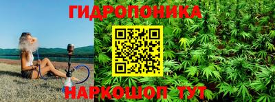 шишки Коммунар