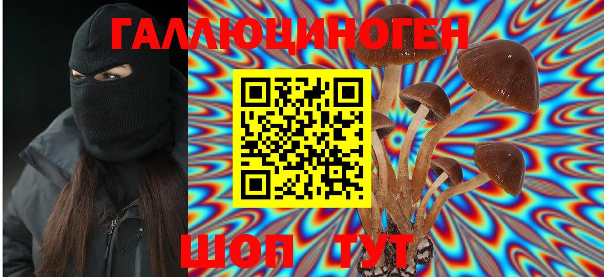 Псилоцибиновые грибы Cubensis  Вход с VPN  Ржев 
