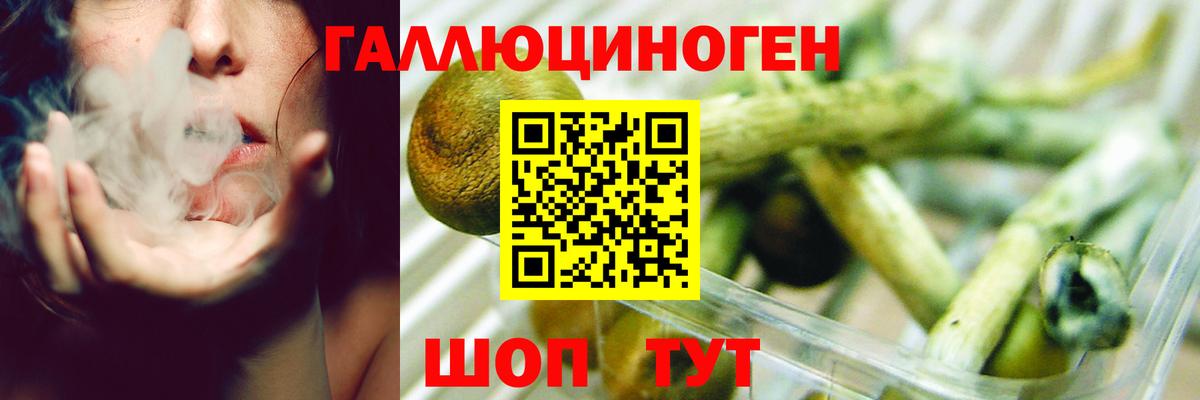 Ржев  ГАШ  Вход с VPN  Меф   Alpha-PVP СК кристаллы  MDMA  Конопля  Cocaine 